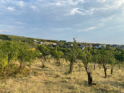 Teren intravilan, localitatea Gageni-Prahova.